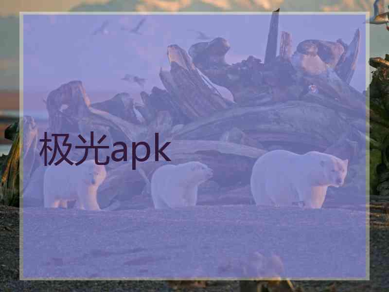 极光apk