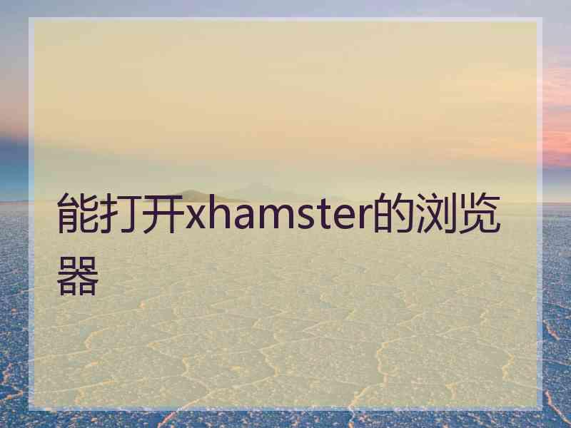 能打开xhamster的浏览器