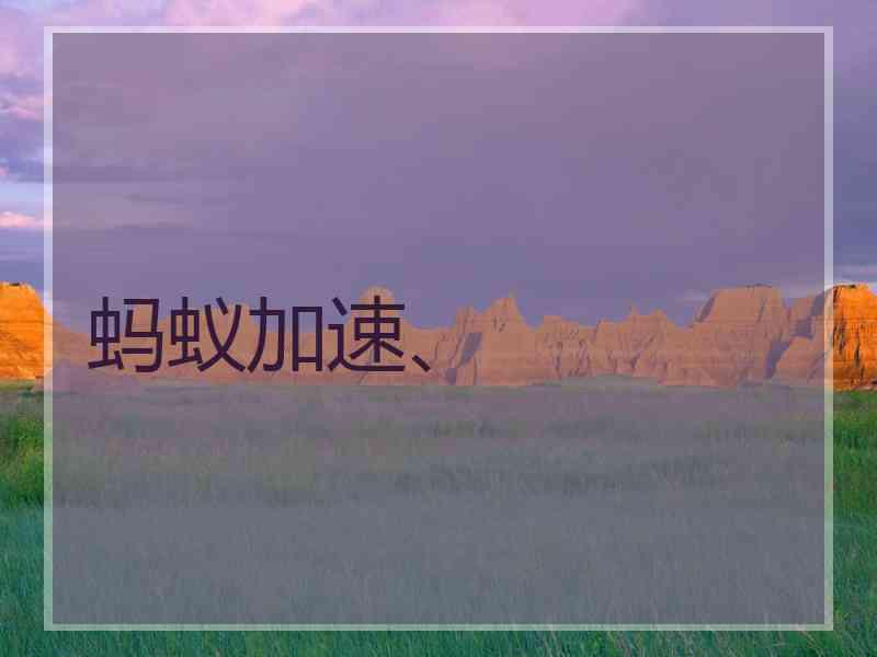 蚂蚁加速、