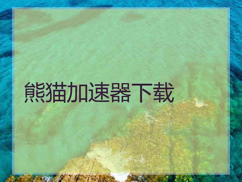 熊猫加速器下载