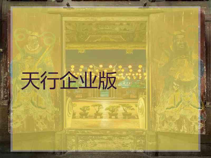 天行企业版