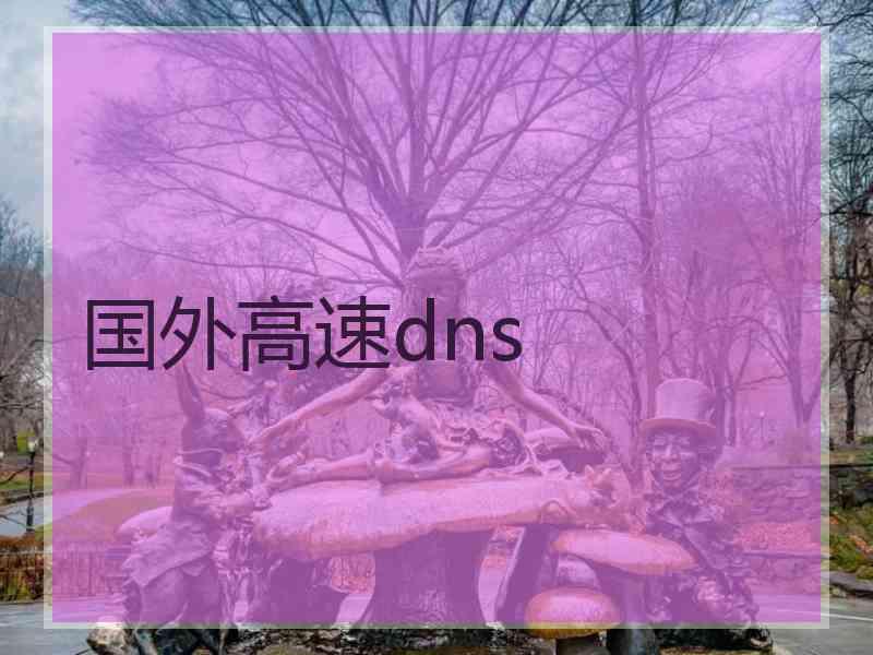 国外高速dns