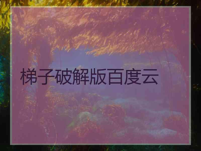 梯子破解版百度云