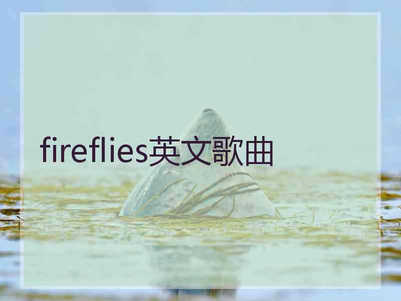 fireflies英文歌曲