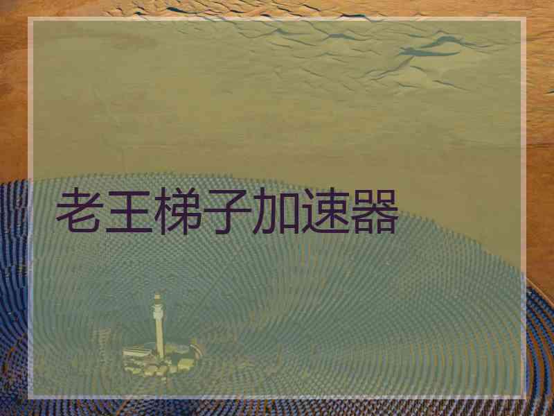 老王梯子加速器