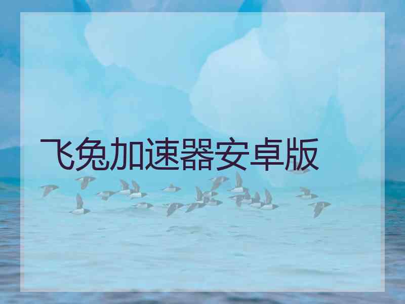 飞兔加速器安卓版