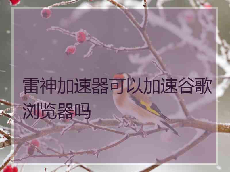雷神加速器可以加速谷歌浏览器吗