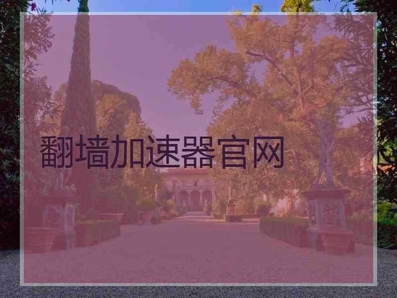 翻墙加速器官网
