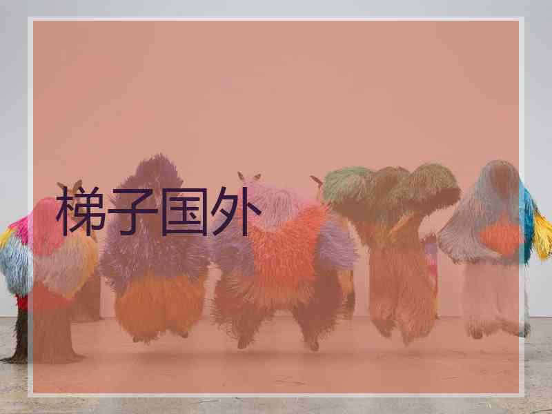 梯子国外
