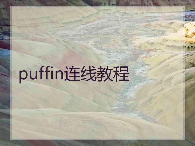 puffin连线教程