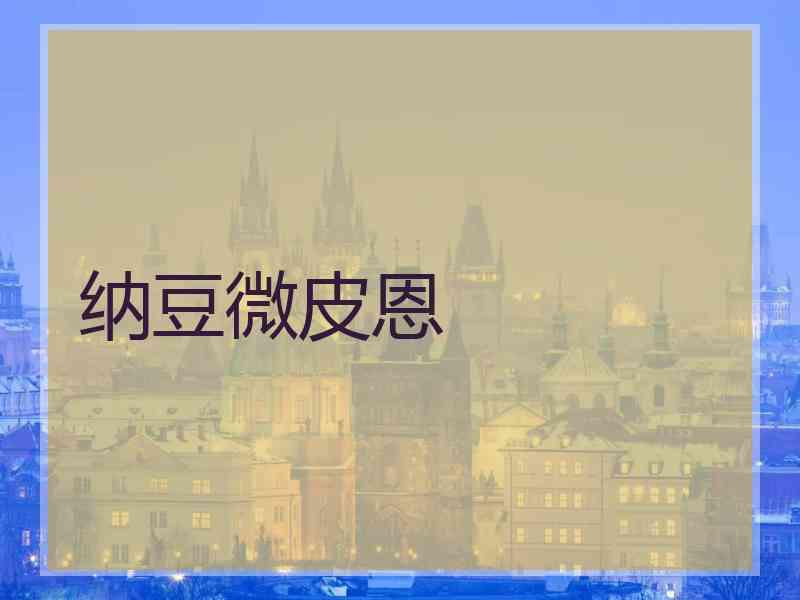 纳豆微皮恩