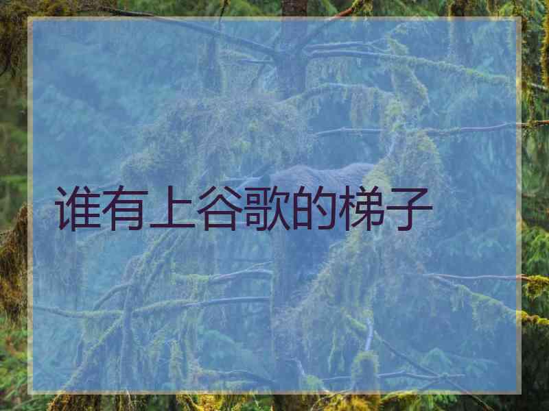 谁有上谷歌的梯子