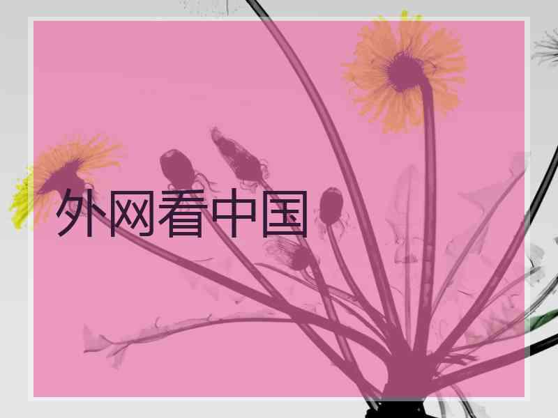 外网看中国