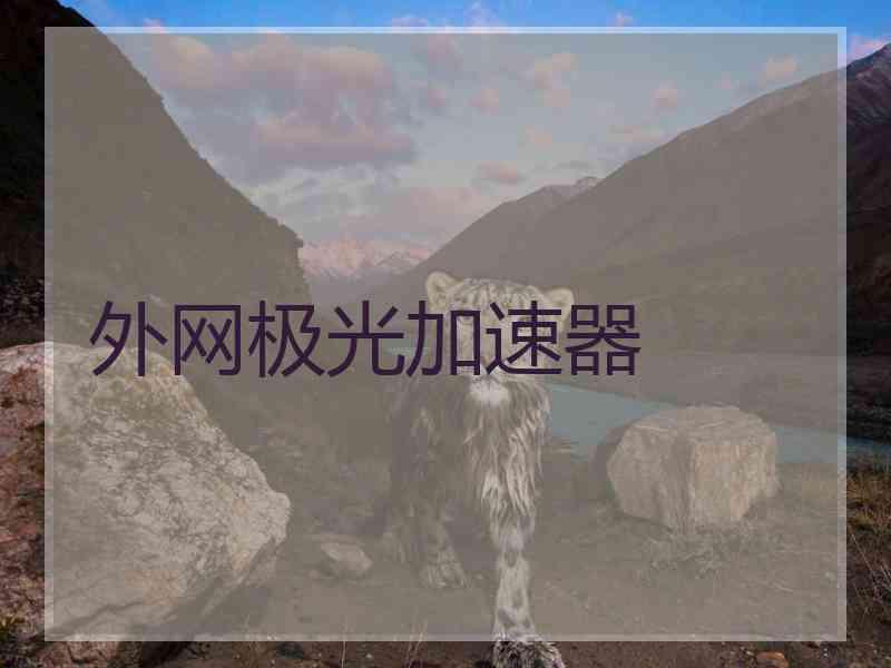外网极光加速器