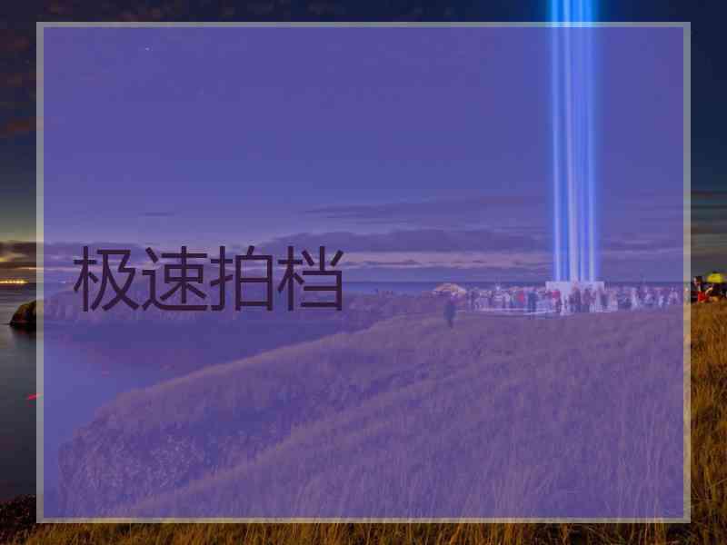 极速拍档