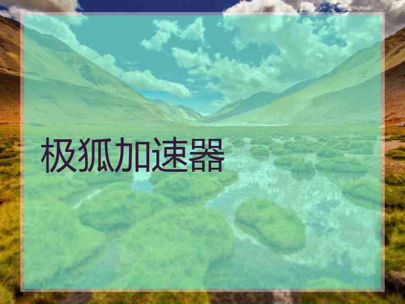 极狐加速器
