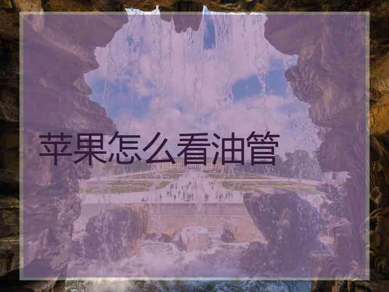 苹果怎么看油管