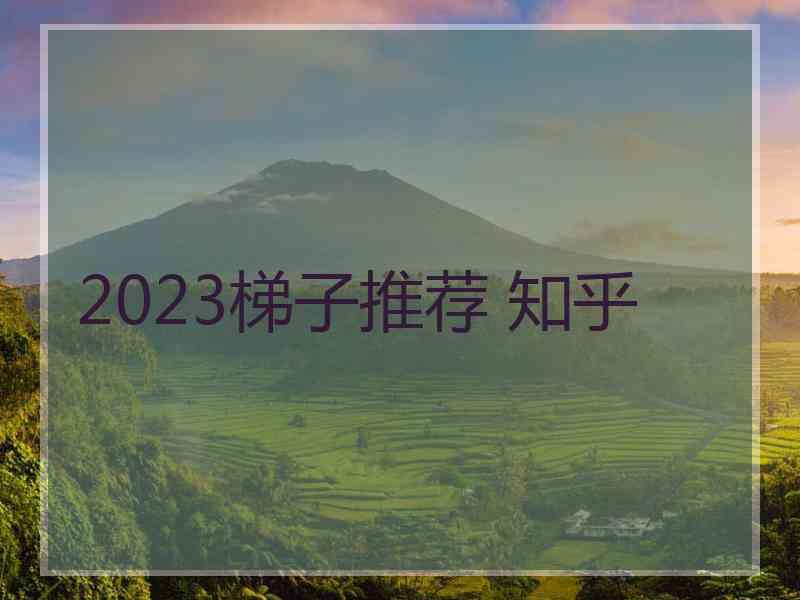 2023梯子推荐 知乎