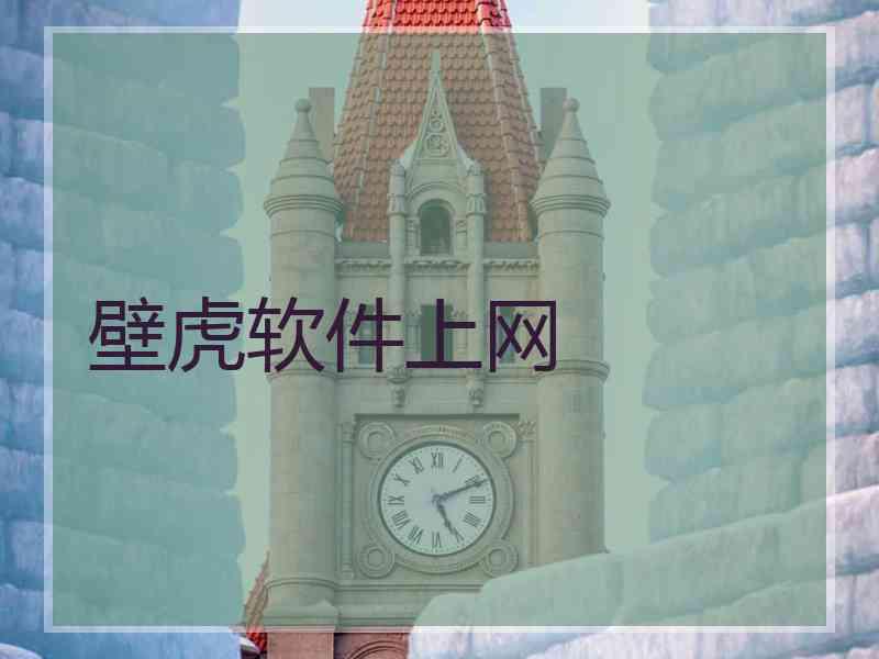 壁虎软件上网