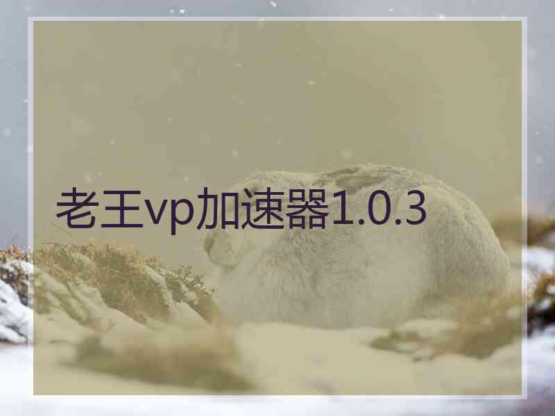 老王vp加速器1.0.3