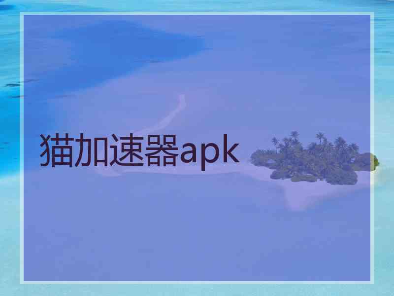 猫加速器apk