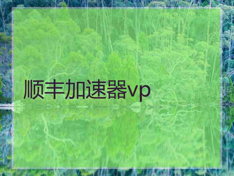 顺丰加速器vp