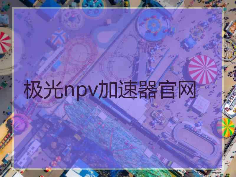 极光npv加速器官网