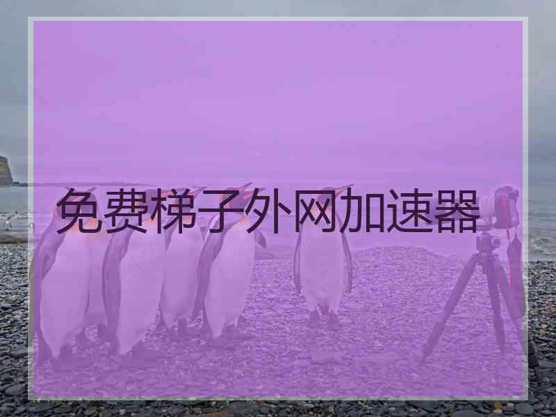 免费梯子外网加速器