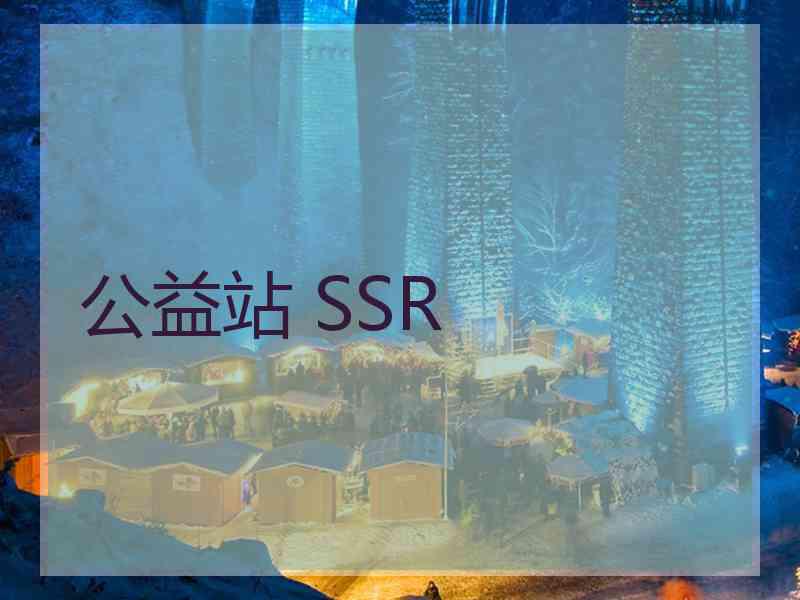 公益站 SSR