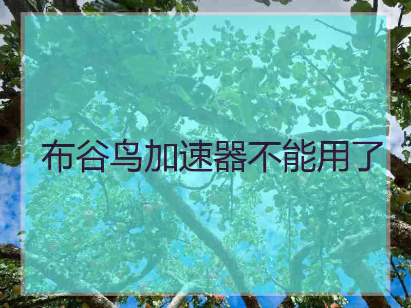布谷鸟加速器不能用了