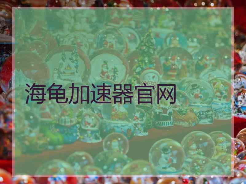 海龟加速器官网