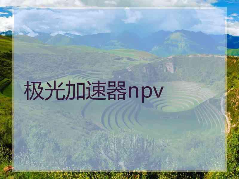 极光加速器npv