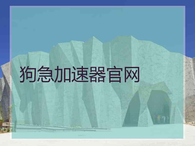 狗急加速器官网
