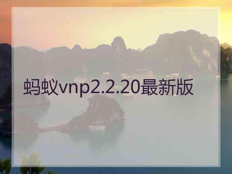 蚂蚁vnp2.2.20最新版