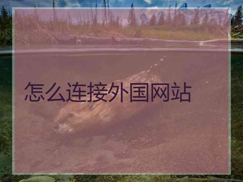 怎么连接外国网站