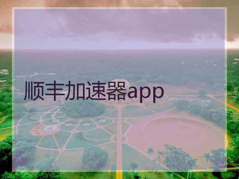 顺丰加速器app