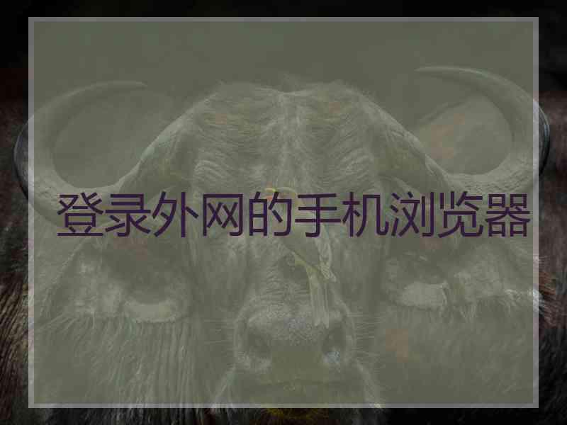 登录外网的手机浏览器