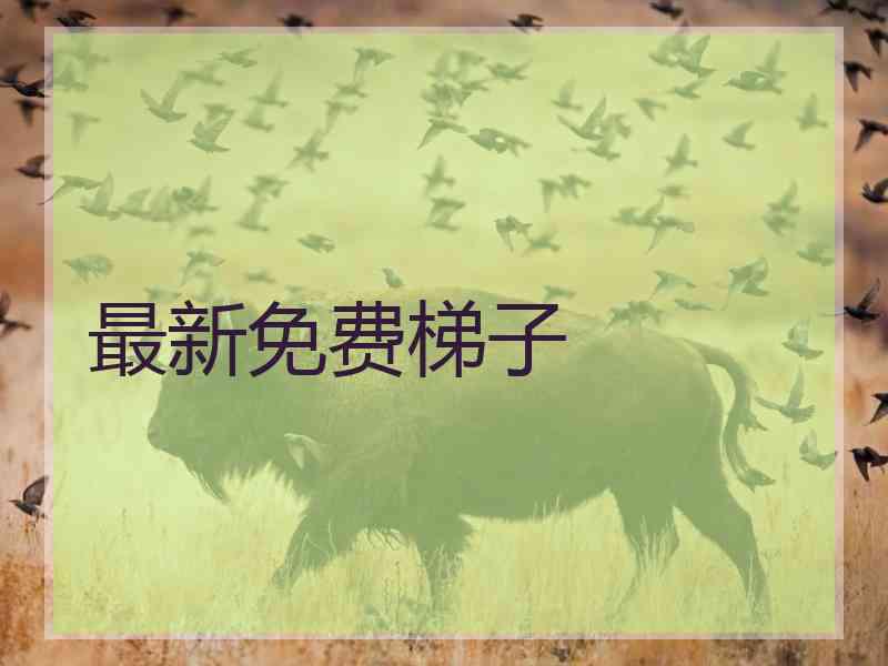 最新免费梯子
