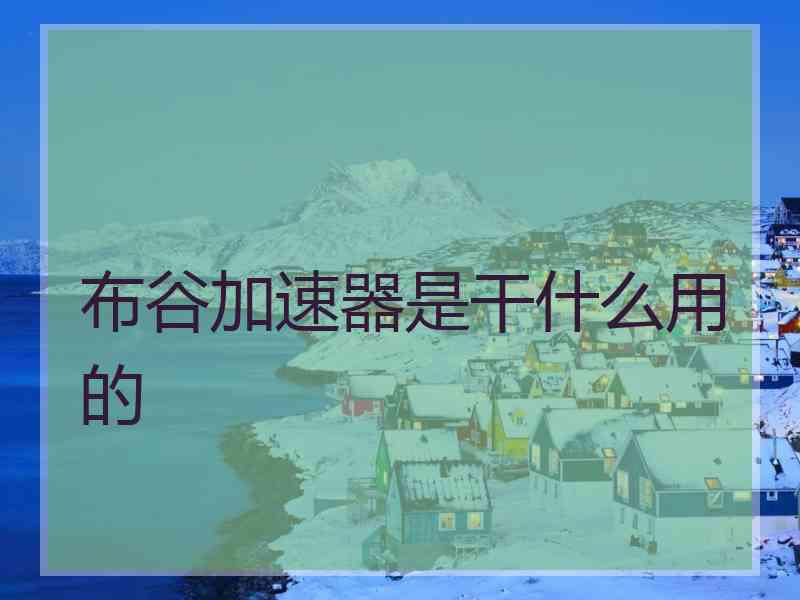 布谷加速器是干什么用的