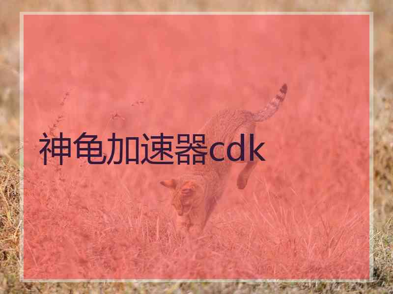 神龟加速器cdk