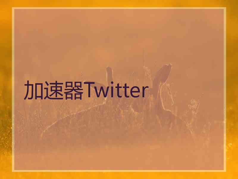 加速器Twitter