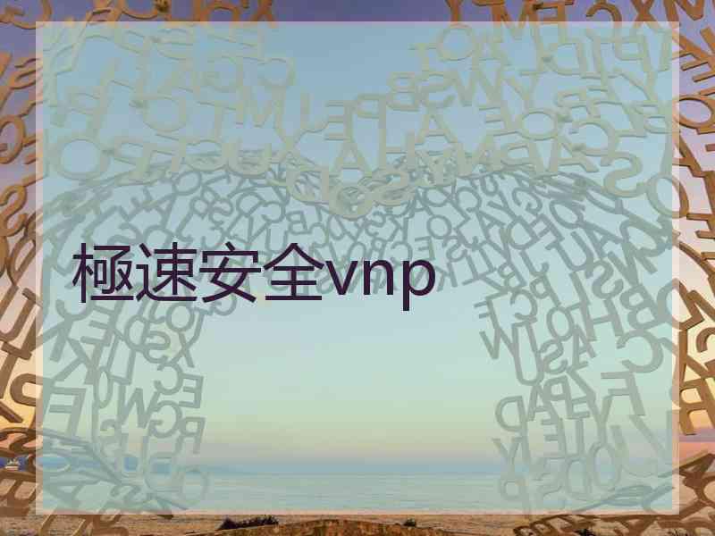 極速安全vnp