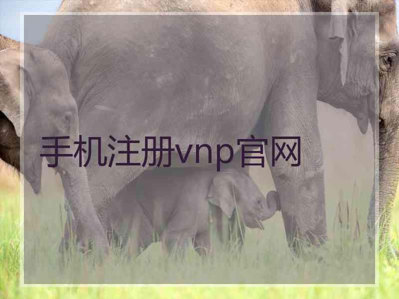 手机注册vnp官网