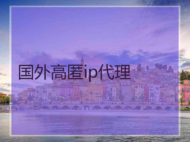 国外高匿ip代理