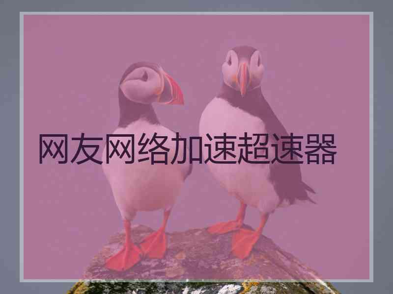 网友网络加速超速器