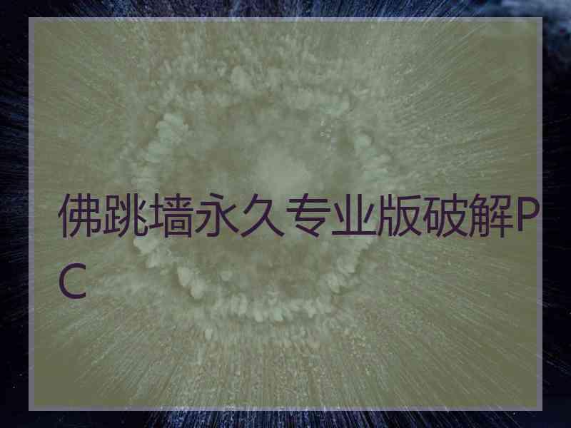 佛跳墙永久专业版破解PC