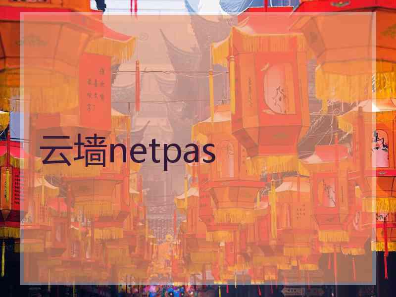 云墙netpas