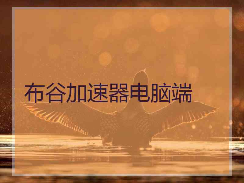 布谷加速器电脑端