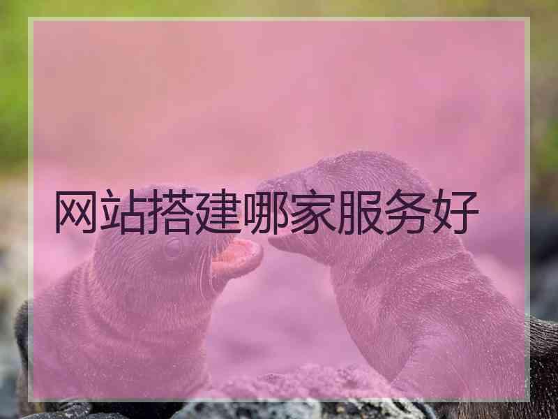 网站搭建哪家服务好