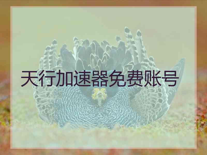 天行加速器免费账号